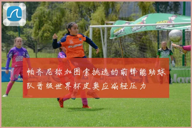 帕齐尼称加图索挑选的前锋能助球队晋级世界杯皮奥应减轻压力